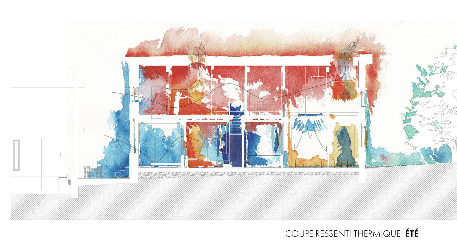 projet ostiole architecture coupe thermique