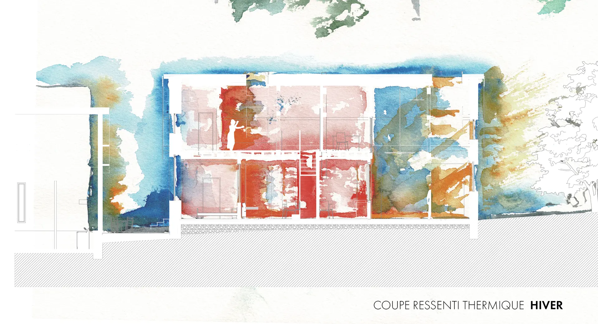 projet ostiole architecture coupe thermique